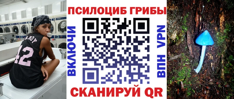 закладка  Разумное  Псилоцибиновые грибы мицелий 